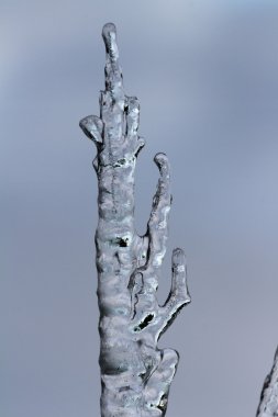 soğuk kış sabahı 