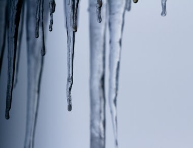 soğuk kış sabahı 