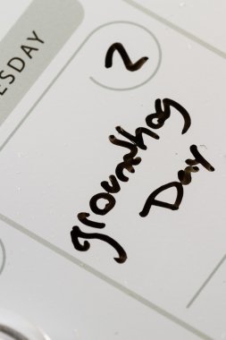 bir takvim gününde zemin domuz