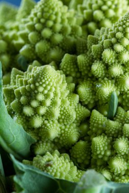 Romanesco brokoli yakın çekim 