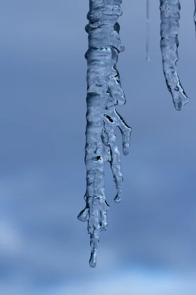 Kall vintermorgon — Stockfoto