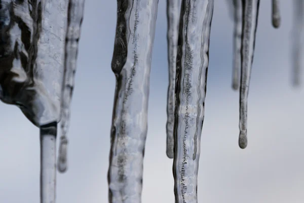 Cold winter morning — Stock Photo, Image