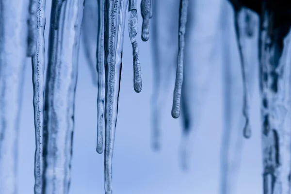 Mañana fría de invierno — Foto de Stock