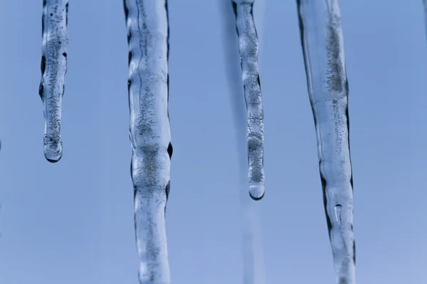 Manhã fria do inverno — Fotografia de Stock