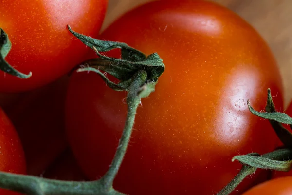 Wijnstokken rijpe tomaten — Stockfoto