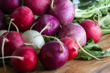 taze ham organik turp 