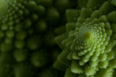 Romanesco brokoli yakın çekim 