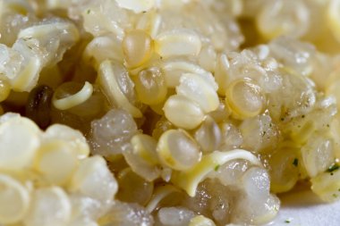 filiz quinoa pişmiş 