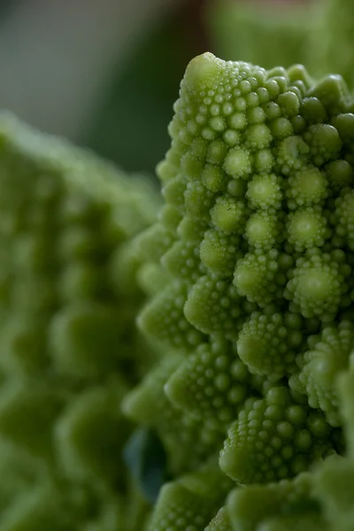 Broccoli Romanesco da vicino — Foto Stock