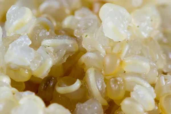 Quinoa brotada cozida — Fotografia de Stock