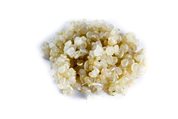 Ugotowane quinoa porośnięte — Zdjęcie stockowe