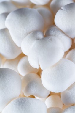 Organik Bunapi mantar 