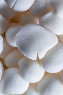 Organik Bunapi mantar 