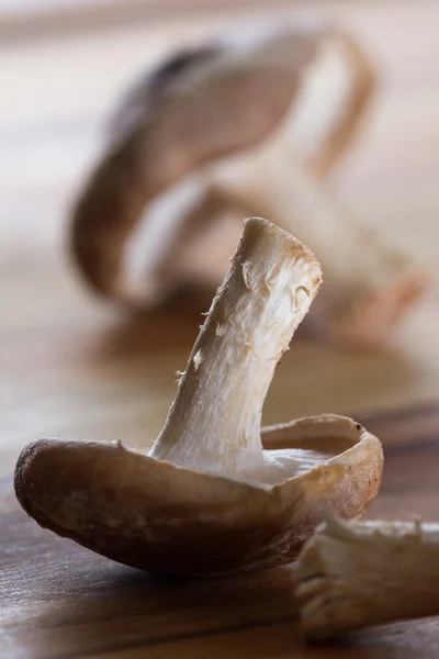 Rå økologisk shiitake svampe - Stock-foto