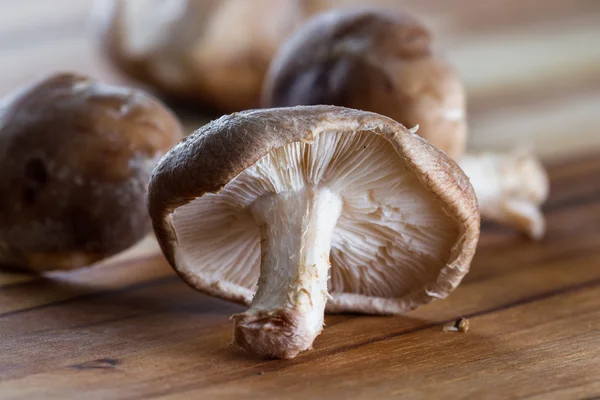 Raw Organic Shiitake Mushrooms — Stock Photo, Image