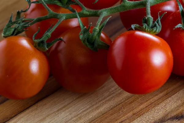 Wijnstokken rijpe tomaten — Stockfoto