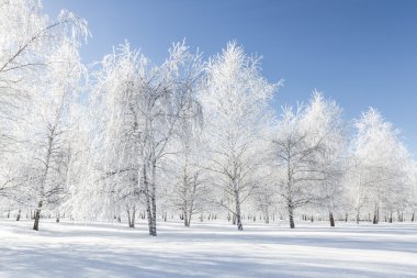 Kuzey Idaho kış sahne 