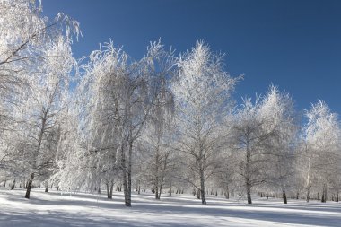 Kuzey Idaho kış sahne 
