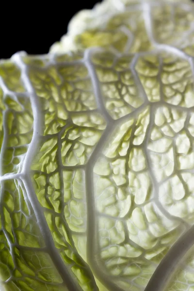 Текстура листьев капусты — стоковое фото