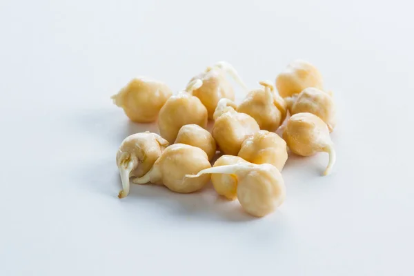 Raw sprouted chickpea — Stock Photo, Image