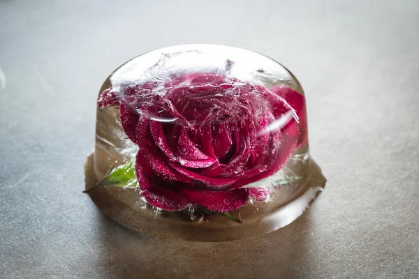 氷のブロックで冷凍小さな赤いバラ — ストック写真