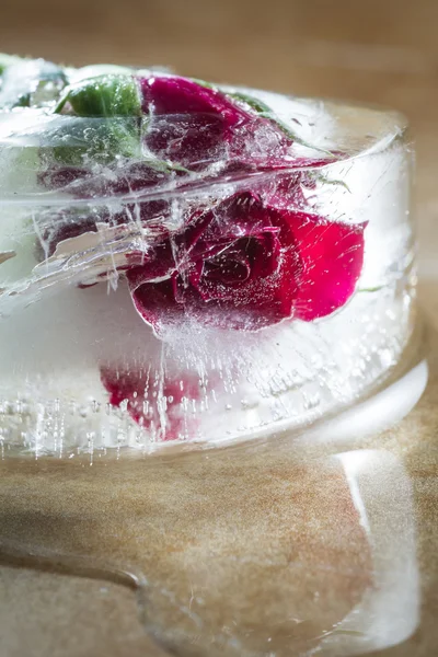 Small red rose frozen in a block of ice — Stock Photo, Image