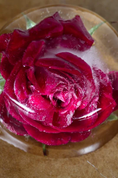 Kleine rode roos bevroren in een blok ijs — Stockfoto