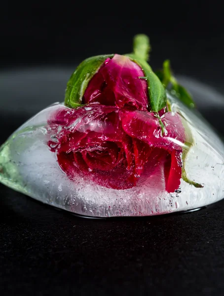 Pequena rosa vermelha congelada em um bloco de gelo — Fotografia de Stock