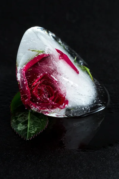 Kleine rote Rose gefroren in einem Eisblock — Stockfoto