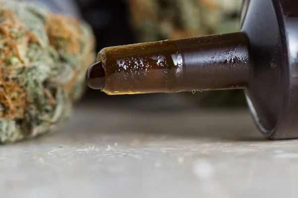 Eterisk olja gjord av läkemedel cannabis Stockbild