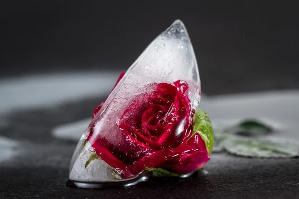 Pequena rosa vermelha congelada em um bloco de gelo — Fotografia de Stock