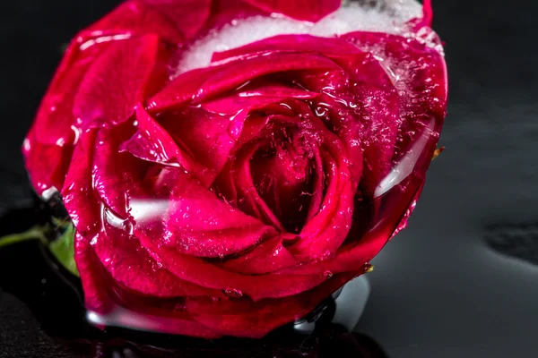 Μικρό κόκκινο τριαντάφυλλο κατεψυγμένα σε ένα μπλοκ του πάγου — Φωτογραφία Αρχείου