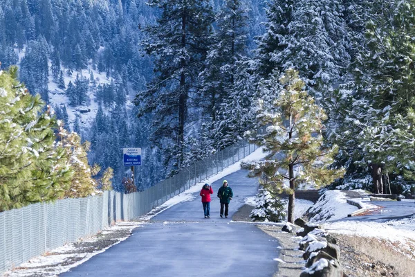 Winter wandeling op een verharde parcours — Stockfoto