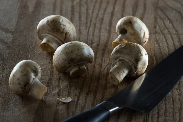 Organiczne surowe grzyby — Zdjęcie stockowe
