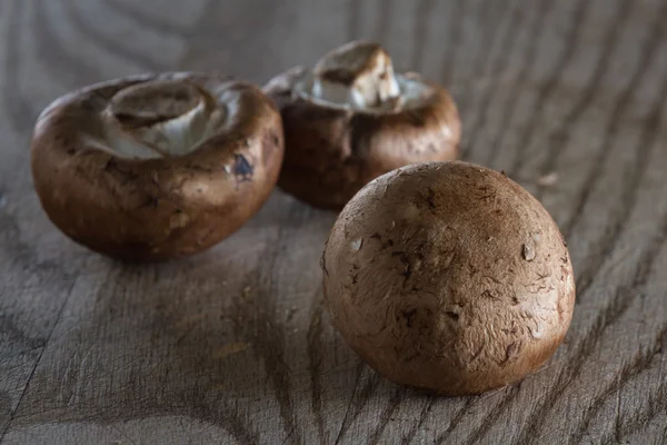 Organic raw mushrooms — Stock Photo, Image