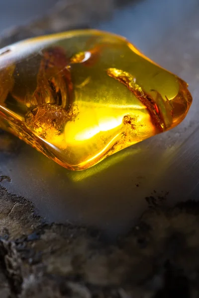 Details preserved in amber — Stock Photo, Image