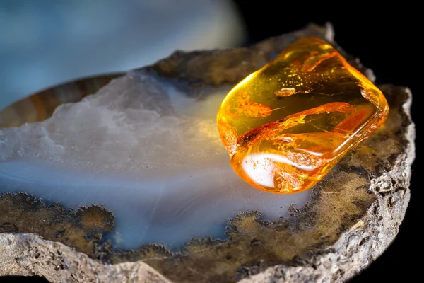 Details preserved in amber — Stock Photo, Image