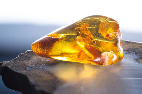 Details preserved in amber — Stock Photo, Image