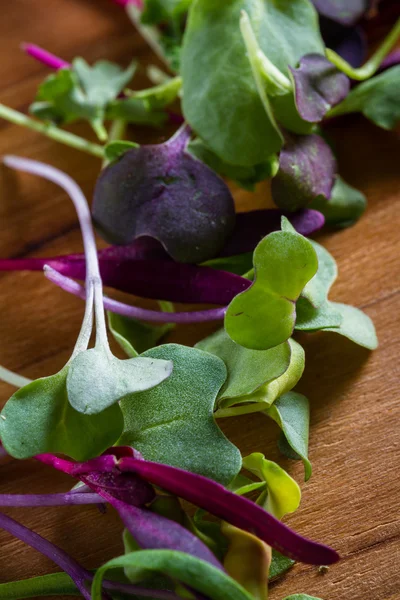 Micro Groenen close-up — Stockfoto