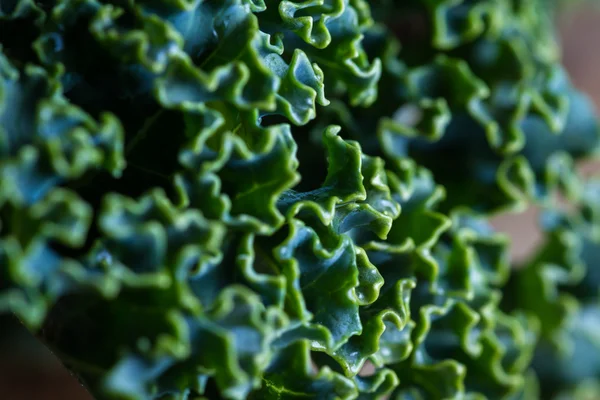 Fresh organic kale — Stock Photo, Image