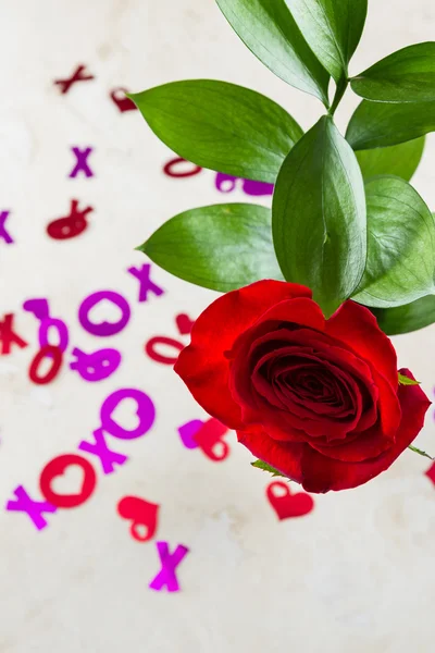 Xoxo hugs and kisses with a red rose — Stock Photo, Image