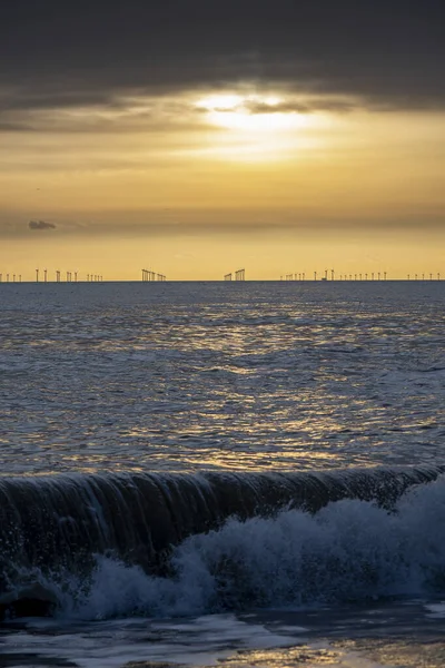 Přírodní Energie Zlatém Slunečním Světle Soumraku — Stock fotografie