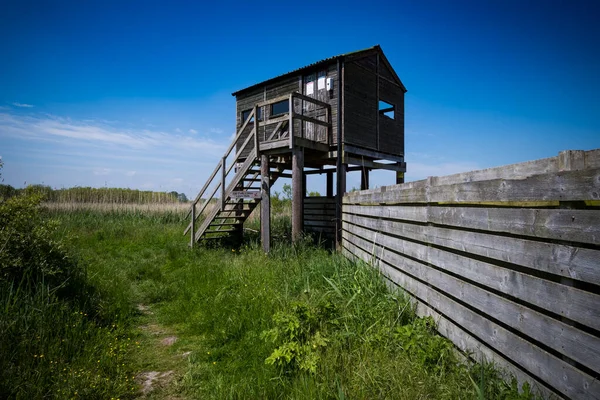 Vogelversteck Sonnigen Tagen Feuchtgebietsreservat — Stockfoto