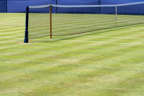 Grass Court Net Tennis Tournament — Stock Photo, Image