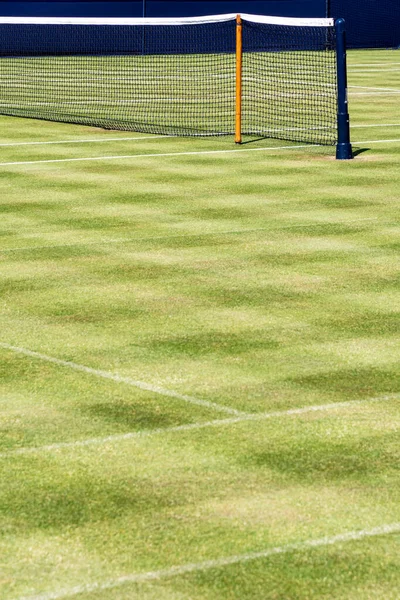 Tennisnetz Auf Rasenplatz Bei Sonnenschein — Stockfoto