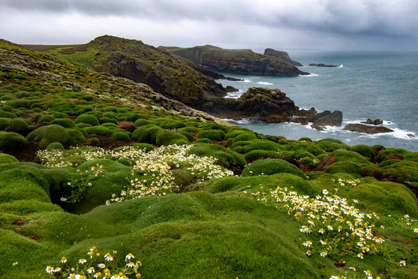 Küstenblick Auf Die Insel Skomer Pembrokeshir — Stockfoto