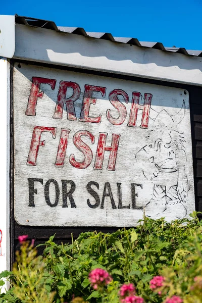 海岸の看板販売のための新鮮な魚 — ストック写真
