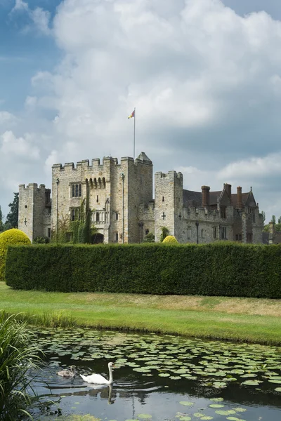 Swan en Engelse kasteel — Stockfoto