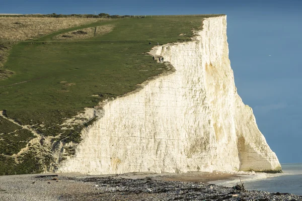 Chalk cliff — Stock Photo, Image