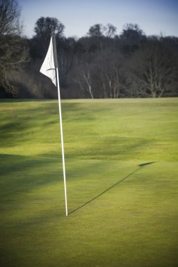 Golf yeşil